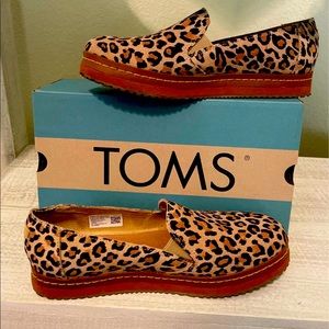 TOMS